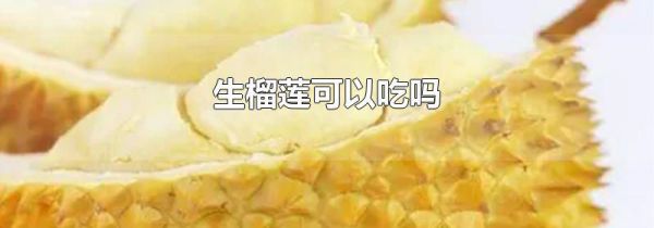 生榴莲可以吃吗