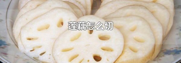 莲藕怎么切