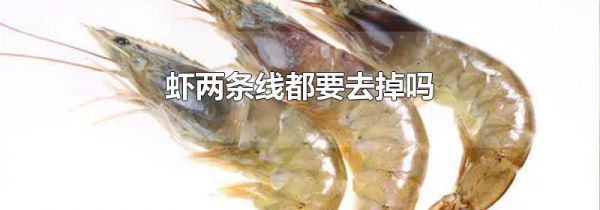 虾两条线都要去掉吗