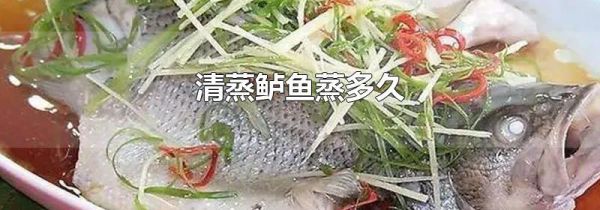 清蒸鲈鱼蒸多久