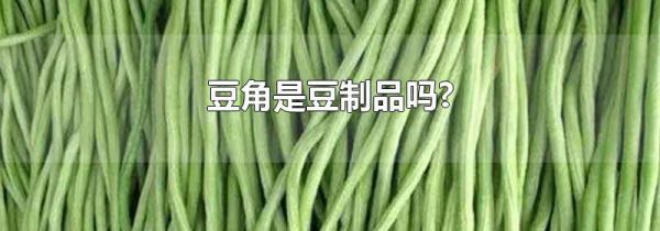豆角是豆制品吗?