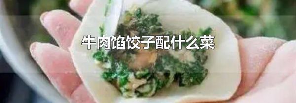 牛肉馅饺子配什么菜