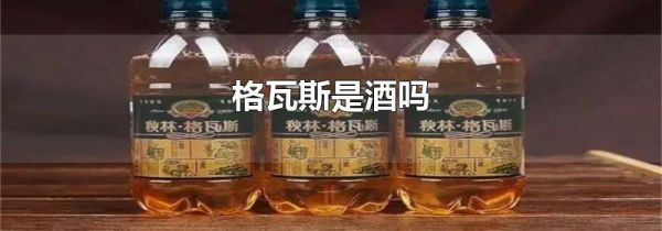 格瓦斯是酒吗
