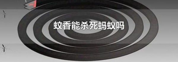 蚊香能杀死蚂蚁吗