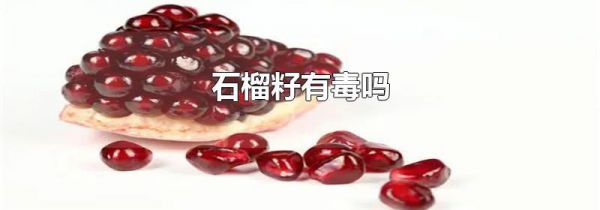 石榴籽有毒吗