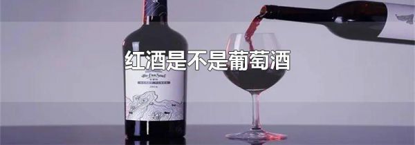 红酒是不是葡萄酒