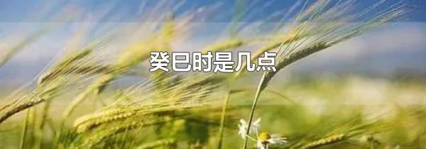 癸巳时是几点
