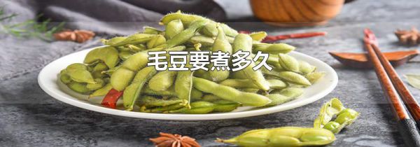 毛豆要煮多久