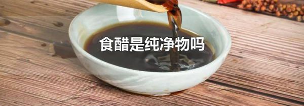 食醋是纯净物吗