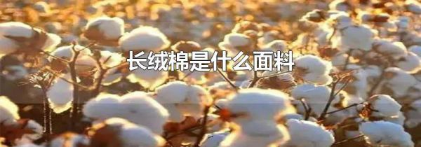 长绒棉是什么面料