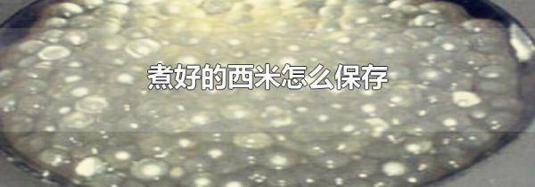 煮好的西米怎么保存