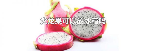 火龙果可以放冰箱吗