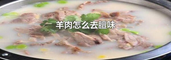羊肉怎么去膻味