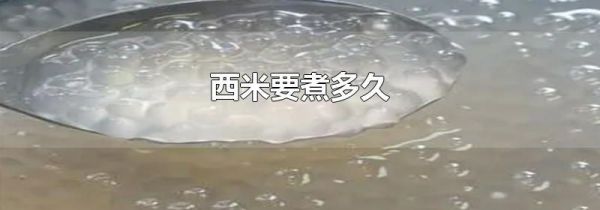 西米要煮多久