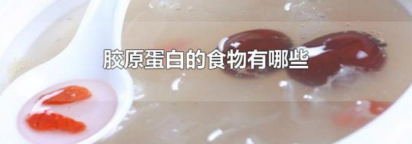 胶原蛋白的食物有哪些
