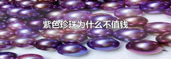 紫色珍珠为什么不值钱