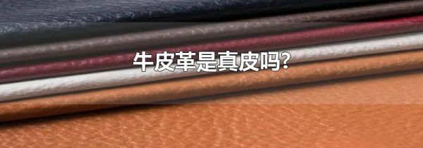 牛皮革是真皮吗?