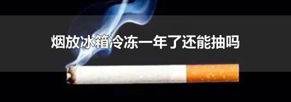 烟放冰箱冷冻一年了还能抽吗