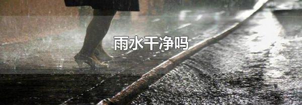 雨水干净吗