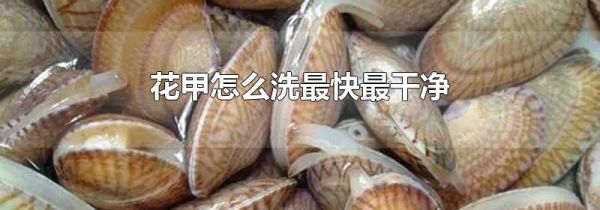 花甲怎么洗最快最干净