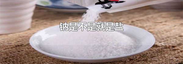 钠是不是就是盐
