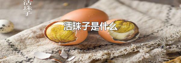 活珠子是什么