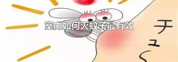 室内如何灭蚊子最有效