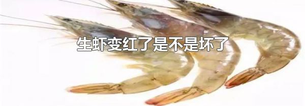 生虾变红了是不是坏了