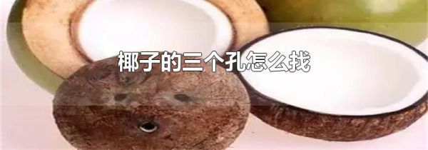 椰子的三个孔怎么找