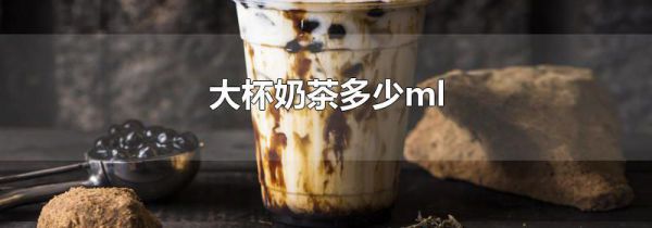 大杯奶茶多少ml
