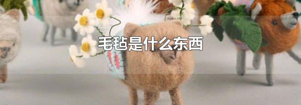 毛毡是什么东西