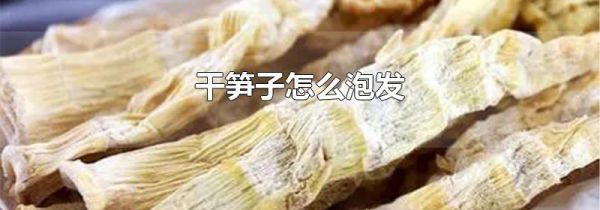 干笋子怎么泡发