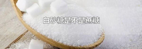 白砂糖是不是蔗糖