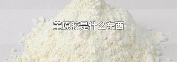 黄原胶是什么东西