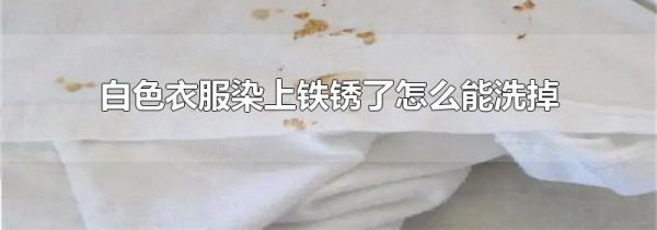 白色衣服染上铁锈了怎么能洗掉