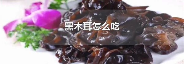 黑木耳怎么吃