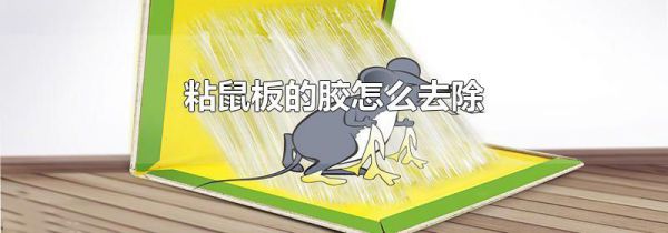 粘鼠板的胶怎么去除
