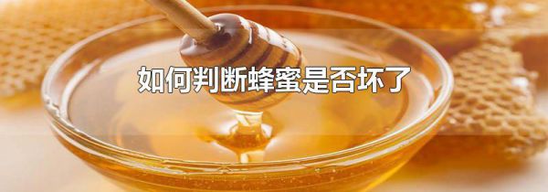 如何判断蜂蜜是否坏了