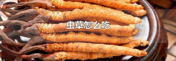 虫草怎么吃