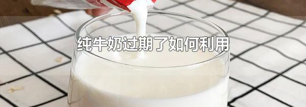 纯牛奶过期了如何利用