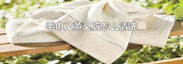 毛巾又黄又脏怎么清洗