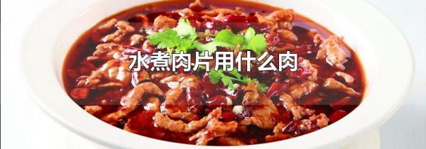 水煮肉片用什么肉