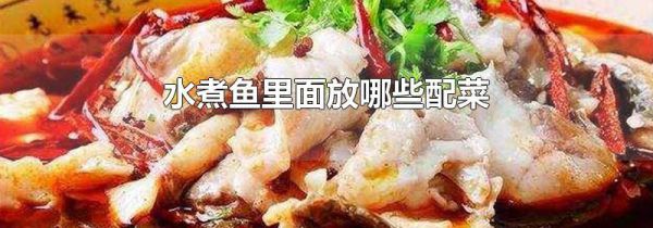 水煮鱼里面放哪些配菜