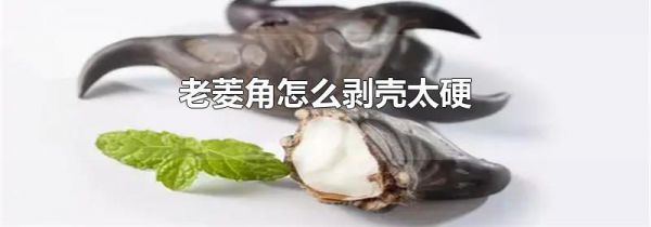 老菱角怎么剥壳太硬