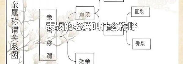 表叔的老婆叫什么称呼