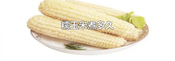 糯玉米煮多久