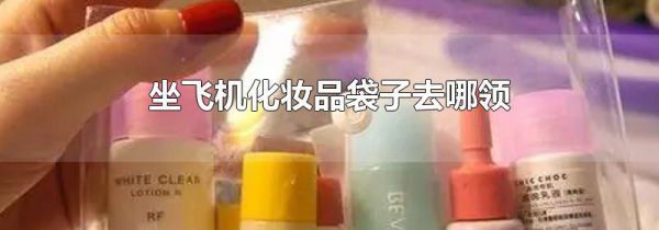坐飞机化妆品袋子去哪领
