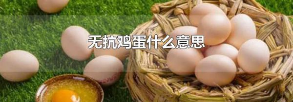无抗鸡蛋什么意思