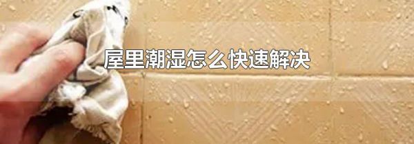 屋里潮湿怎么快速解决