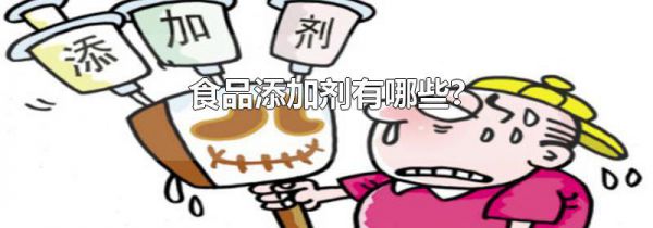 食品添加剂有哪些?